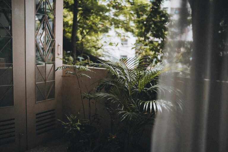 Tips for Creating a Relaxing Home Garden Space on a Budget